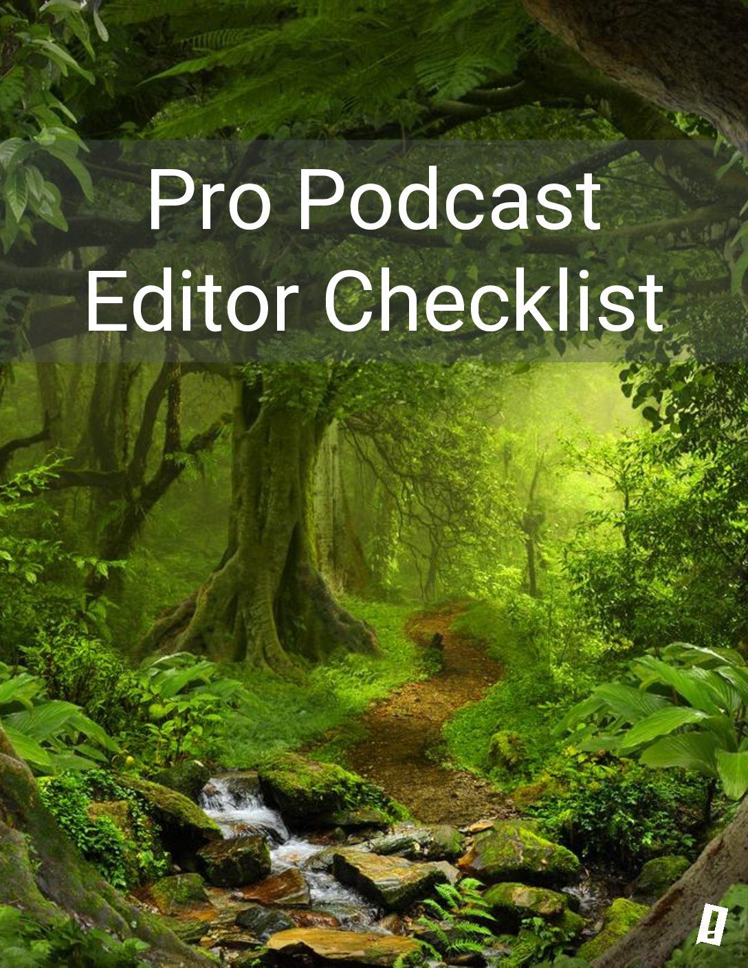 Pro Podcast Editor Checklist